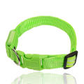 Pets Collars Adjustable Polyester Glow In Night